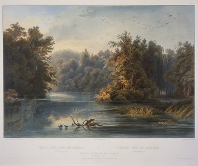 Forest Scene on the Lehigh by Karl Bodmer